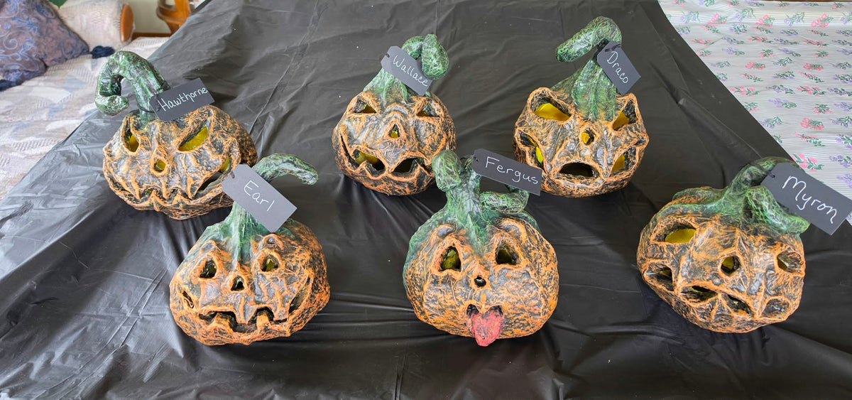 SOLD OUT ! - NEW 🎃 Fergus — Smaller Pumpkin With Big Brat Vibes🎃🎃He likes to Stick out His Tongue