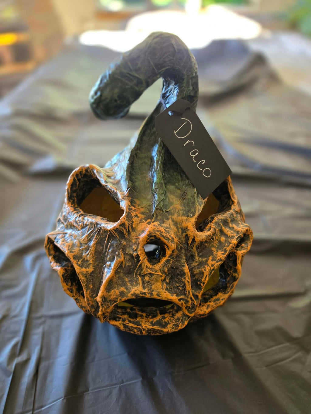 NEW! Draco — Smaller Pumpkin With Oddly Suspicious Eyes 🎃