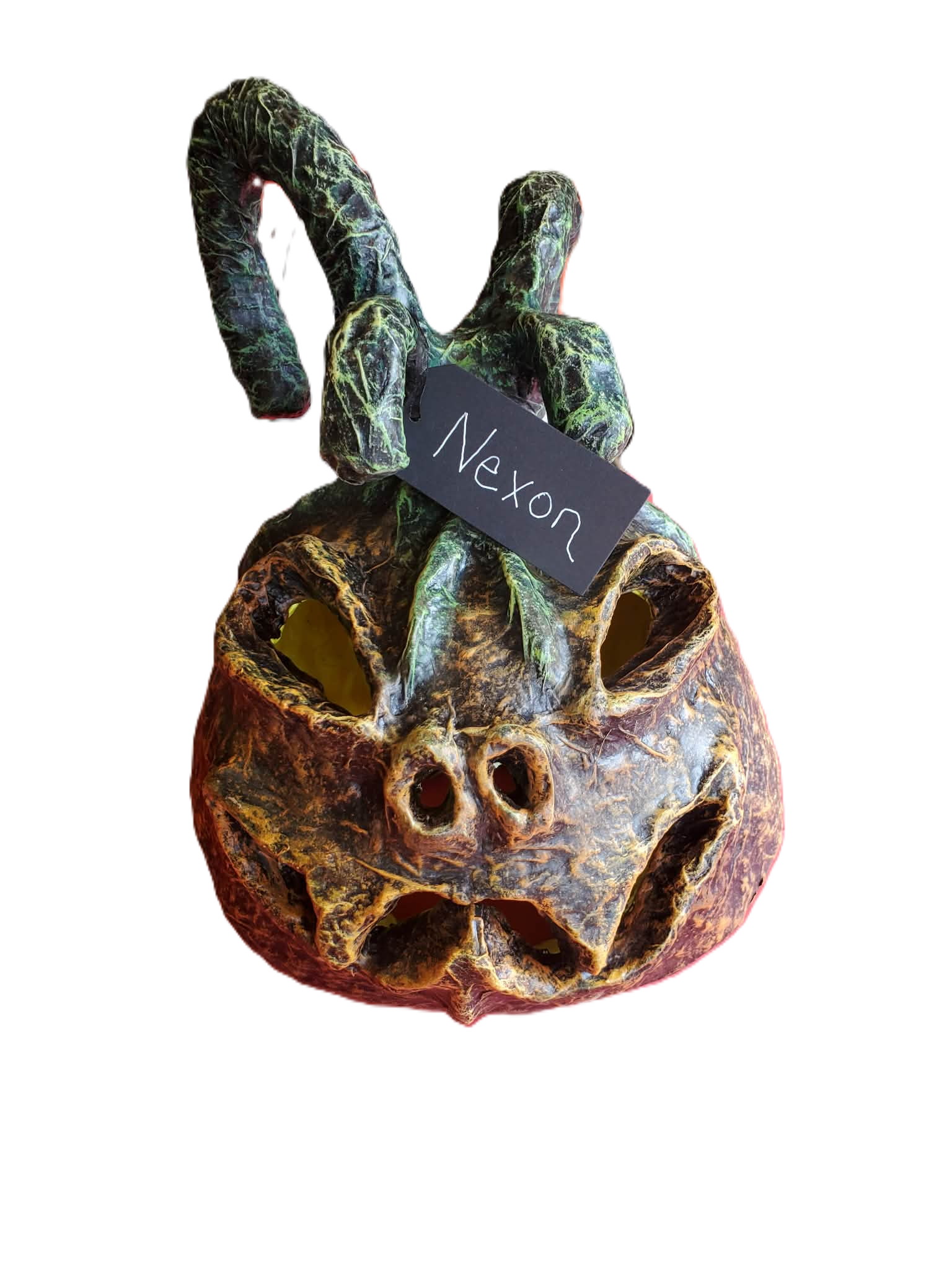 NEW ~ Meet Nexon 🎃 — One‑of‑a‑Kind Pumpkin With Fierce Halloween Presence - Alien or Pumpkin?