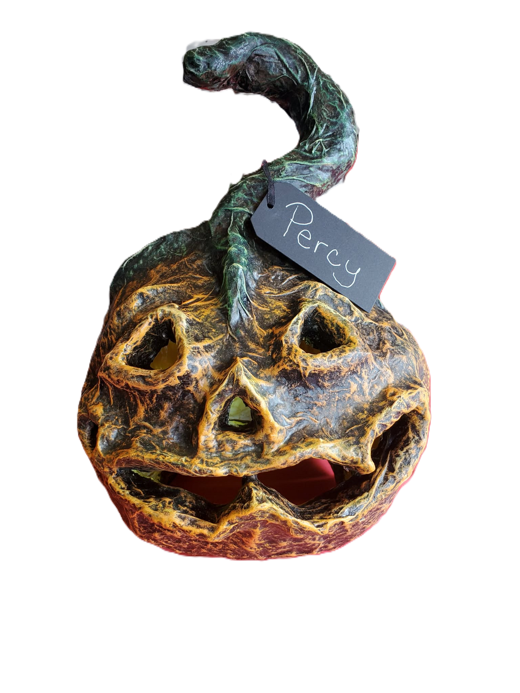 NEW ~ Meet Percy🎃 — One‑of‑a‑Kind Pumpkin With Big Pumpkin Energy🎃