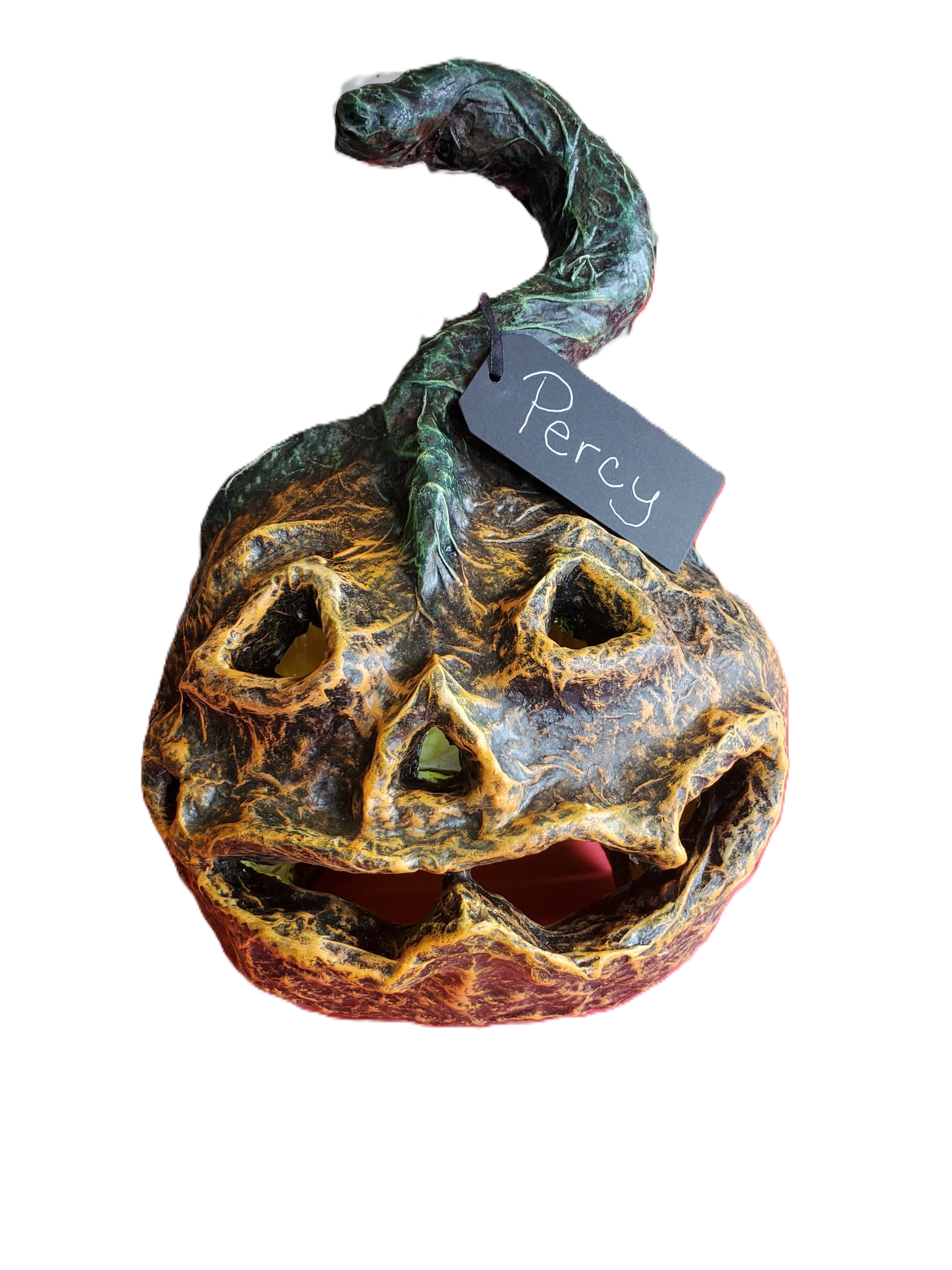NEW ~ Meet Percy🎃 — One‑of‑a‑Kind Pumpkin With Big Pumpkin Energy🎃
