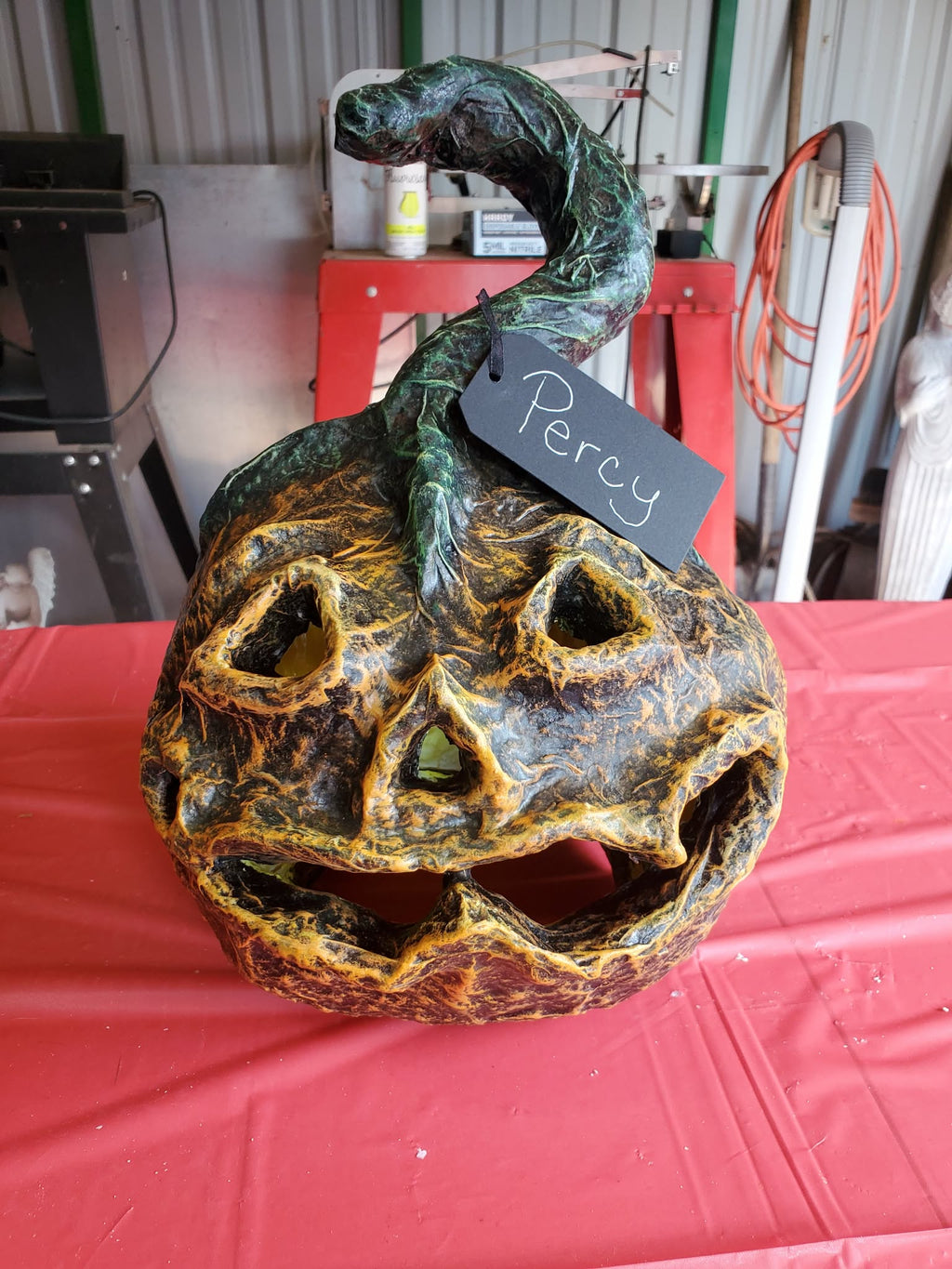 NEW ~ Meet Percy🎃 — One‑of‑a‑Kind Pumpkin With Big Pumpkin Energy🎃